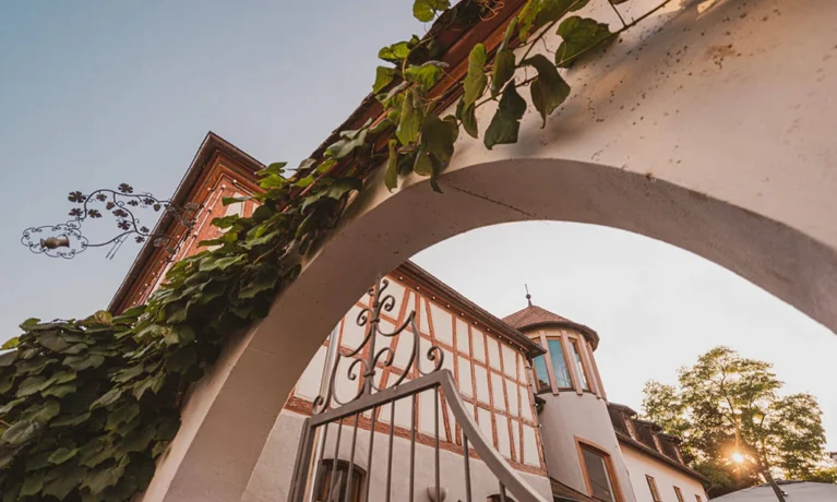 Historische Architektur mit begrüntem Torbogen und Fachwerkhaus bei Sonnenuntergang.